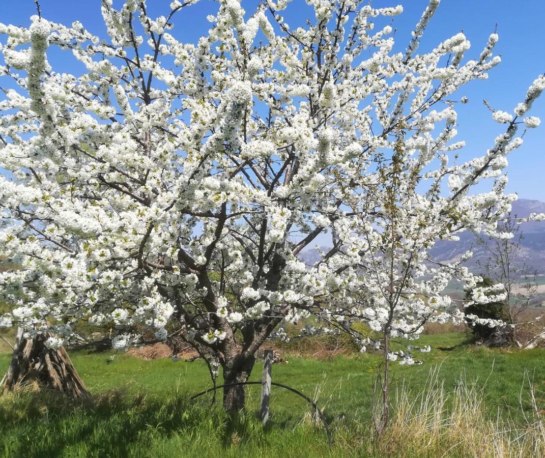 Gite Du Grand Delmas Bourdeaux Exteriör bild
